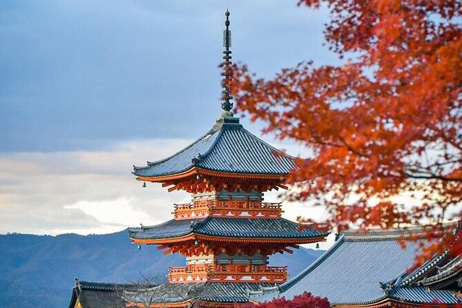 Kyoto Private Customized Day Tour with Guide - Kinkaku-ji Golden Pavilion: quick, iconic, and worth the timing