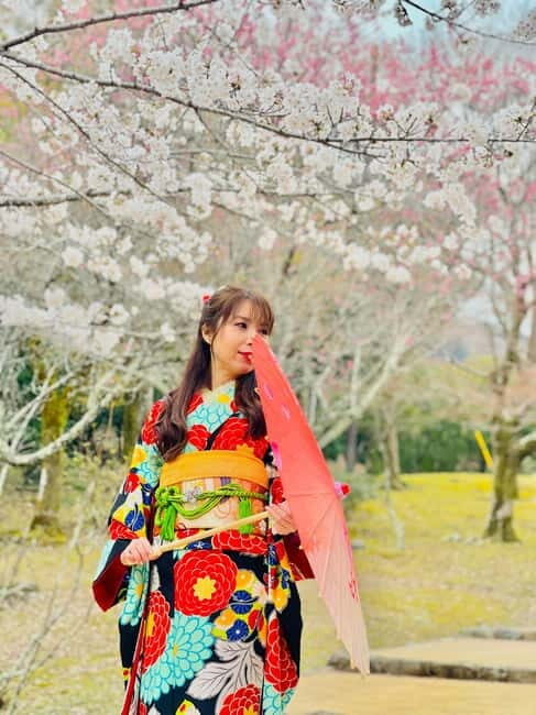 Kyoto: Private Customized Tour With English Speaking Guide - Kiyomizu-dera and Pontocho: Temple Energy Meets Evening Atmosphere