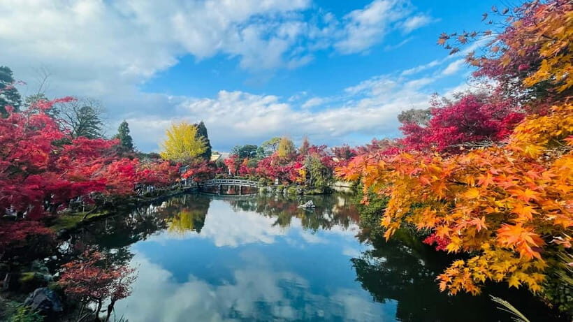 Kyoto: Private Customized Tour With English Speaking Guide - Fushimi Inari Taisha: The Torii Walk That Makes Your Camera Earn Its Keep