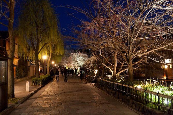 Kyoto Private Day Tour with English-Speaking Driver from Kyoto - Cars, Wi-Fi, and comfort notes that affect your day