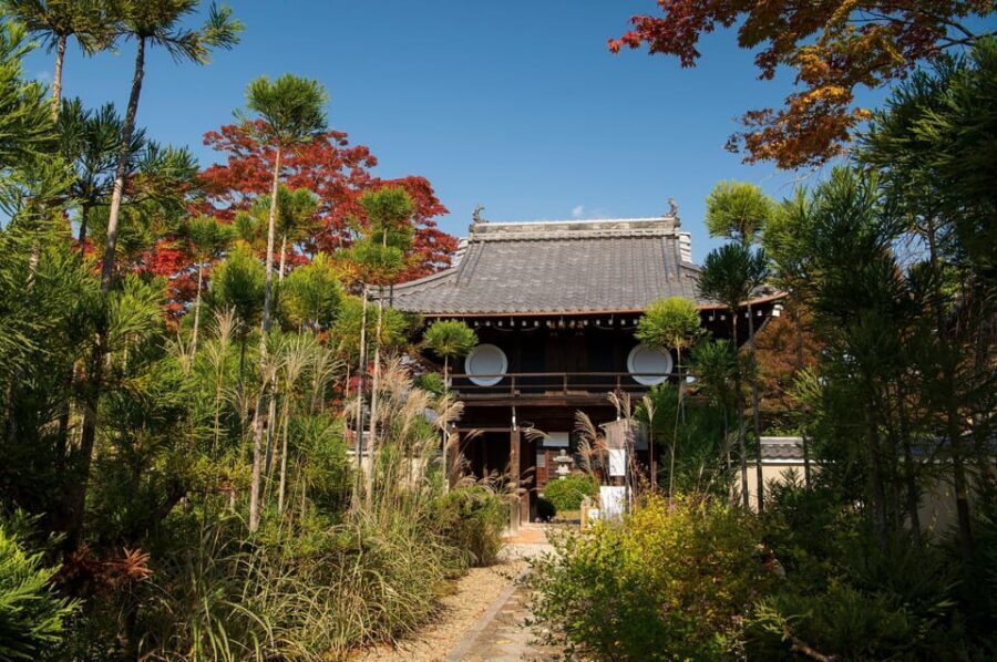 Kyoto: Private Full-Day Customizable World Heritage Tour - Price and What $203 Per Person Really Buys You