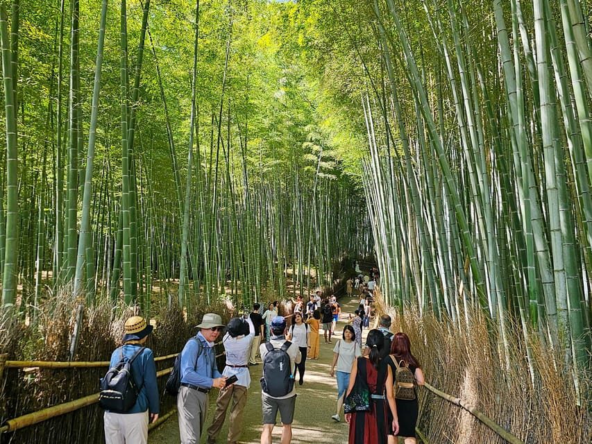 Kyoto: Private Full-Day Customizable World Heritage Tour - Kyoto Botanical Gardens as a Slow-Start Option