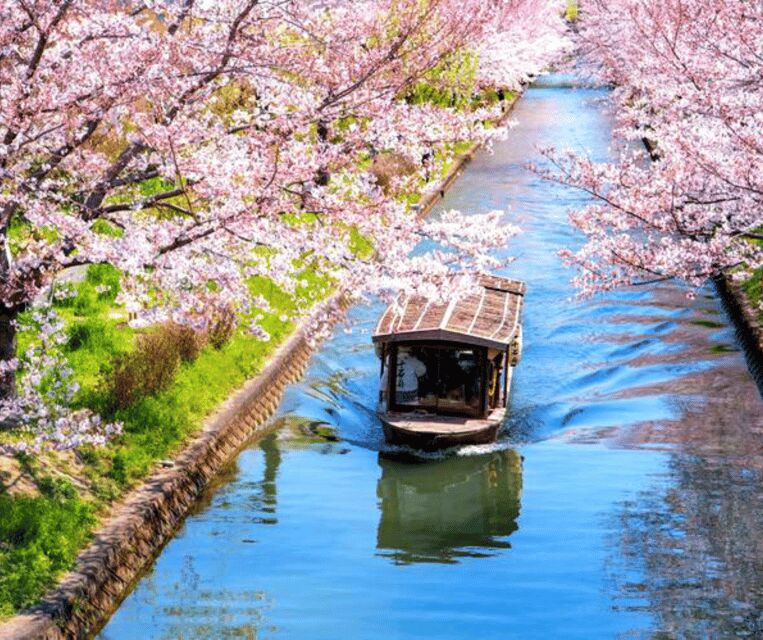 Kyoto: Private Highlights Tour with Guide and Luxury Vehicle - Gion: geisha district charm with a slower, smarter pace