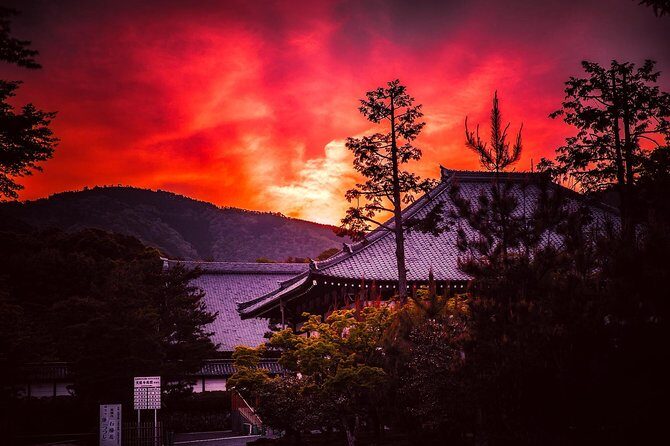 Kyoto Private Night Tour with a Local – Bars, Bites & Culture - The nightlife street stop: bars and izakayas with an insider filter