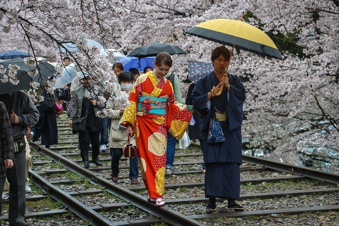 Kyoto Private & Personalized Half-Day Walking Tour with a Local - Gion lanes and Tatsumi Bridge: seeing the entertainment district without getting tangled