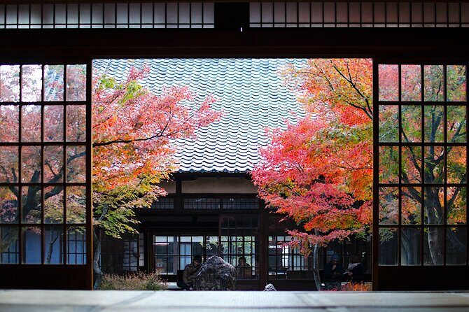 Kyoto Private Tour: One Day Highlights and Cultural Gems - Quick highlights