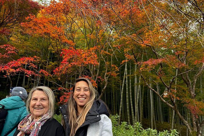 Kyoto Private Tour: One Day Highlights and Cultural Gems - Gion after lunch: tea houses, alley energy, and where to focus