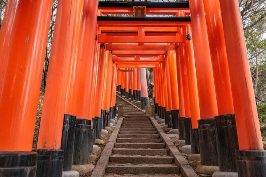 Kyoto: Private tour with Kyoto's licensed guide. Spanish - Gion with geiko and maiko: what to spot, and why timing matters