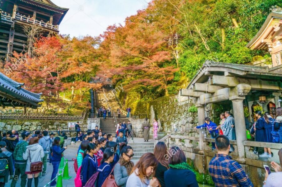 Kyoto: Private Tour with Local Licensed Guide - Key points worth knowing before you go