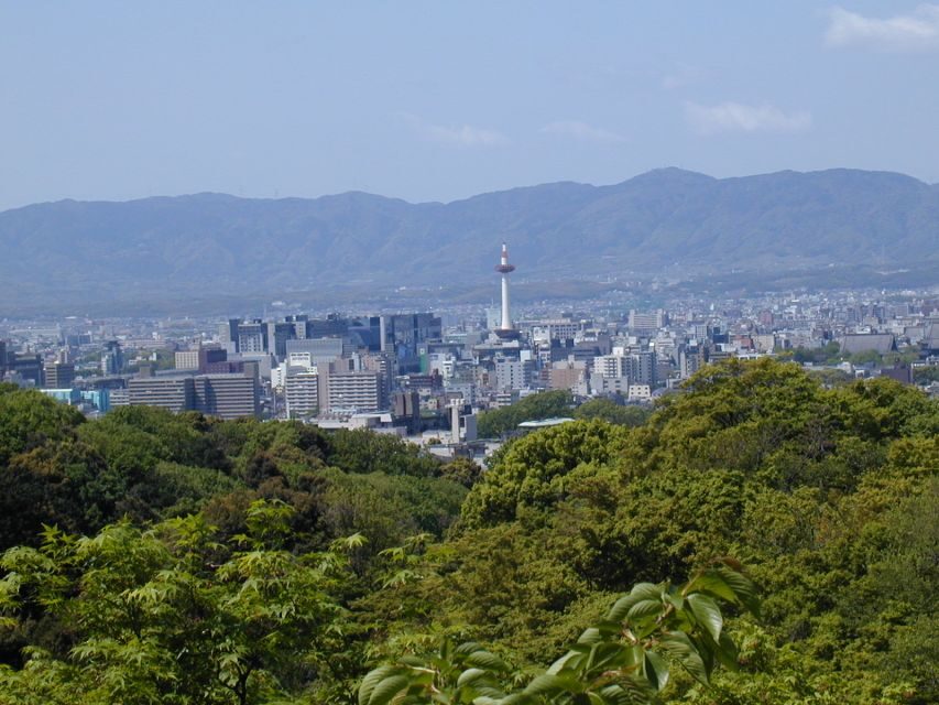 Kyoto: Private Tour with Local Licensed Guide - Why Kyoto feels easier with a private, licensed guide
