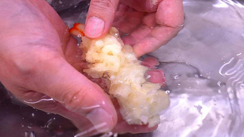 Kyoto: Replica food making experience - Who this replica food making class is best for