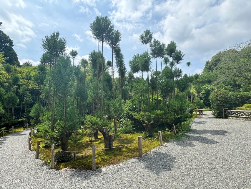 Kyoto: Ryōan-ji, Greatest Zen Garden Guided Tour in 90 Min. - Price and Value: Is $74 Worth 90 Minutes in Kyoto?