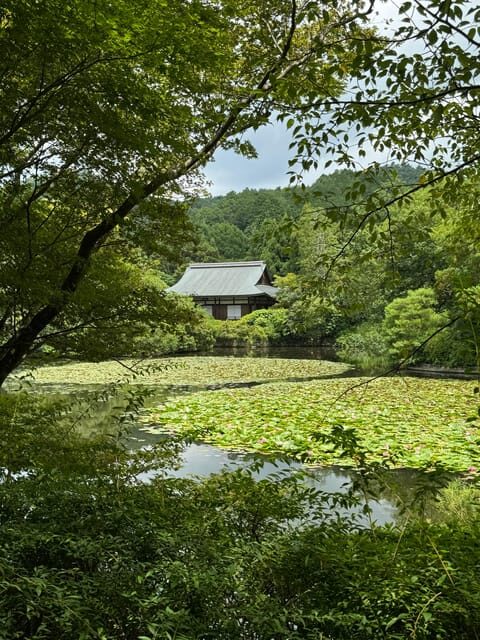 Kyoto: Ryōan-ji, Greatest Zen Garden Guided Tour in 90 Min. - Meeting at 龍安寺山門: Getting Oriented Without Stress