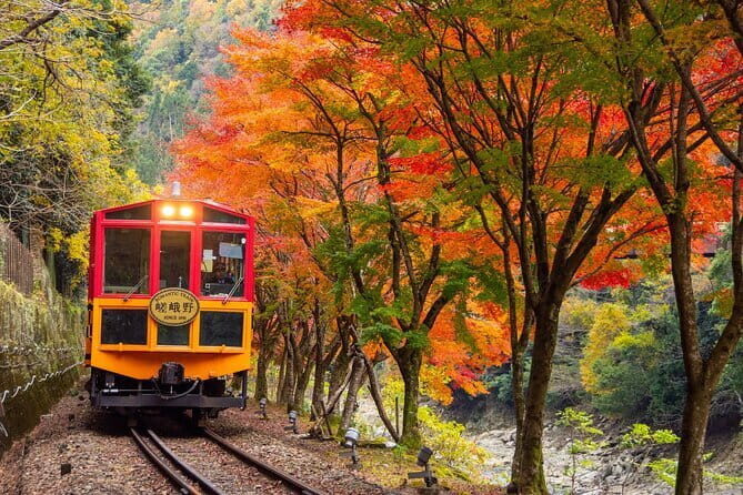 Kyoto Sagano Romantic Train in Arashiyama Bus Tour - Sagano Romantic Train: a quick 25 minutes with real scenery payoff