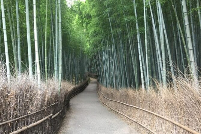 Kyoto Shogun Cycling Tour - Getting there: Wara Tenjin mae to Kyoto Station cycle terminal