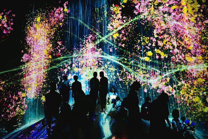 Kyoto TeamLab Biovortex & Kyoto Walking Tour - Quick hits before you go