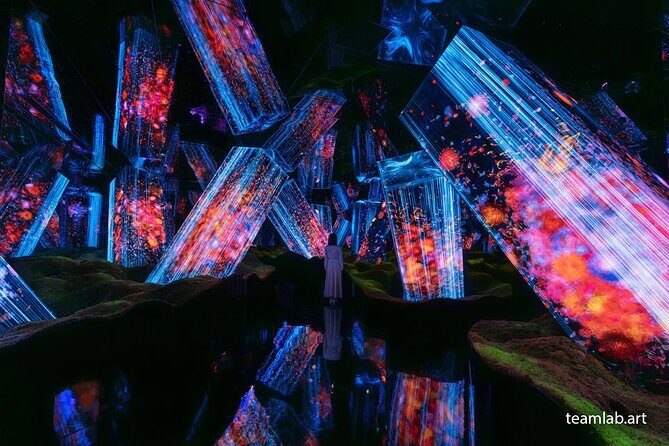 Kyoto TeamLab Biovortex & Kyoto Walking Tour - Inside teamLab Biovortex Kyoto: art that reacts to nature and the body