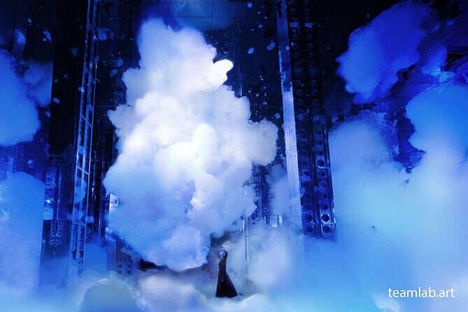 Kyoto TeamLab Biovortex & Kyoto Walking Tour - Price and value: why $72 makes sense for this mix