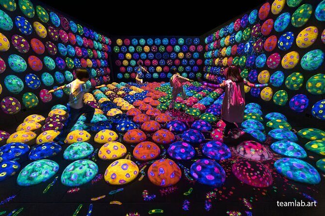 Kyoto TeamLab Biovortex & Kyoto Walking Tour - Should you book this Kyoto TeamLab Biovortex & walking tour?