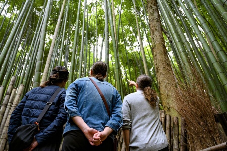 Kyoto to Arashiyama Day Trip - Private & Personalized - The Bamboo Grove walk: famous, yes, but better with a plan