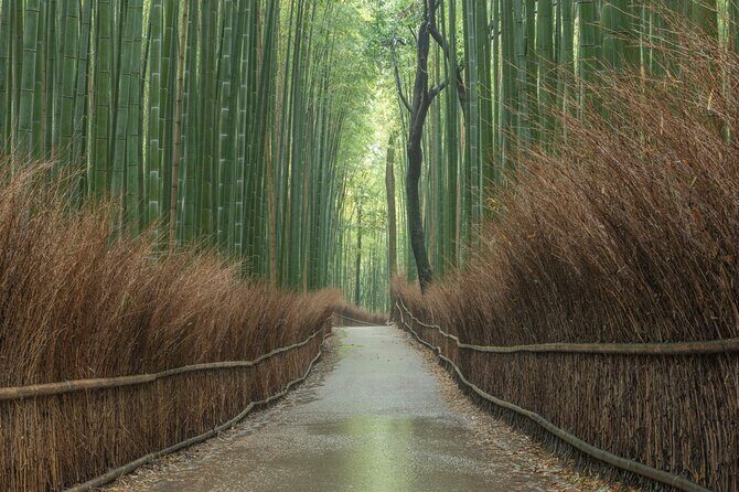Kyoto top must-see Golden pavilion and Bamboo forest half-day Private tour - Why this half-day combo is a smart Kyoto starter