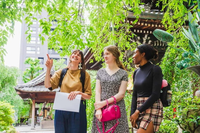 Kyoto: Top Sights Guided Tour - Gion, Kinkaku, Fushimi, Nijo - The Big Idea: Why This Kyoto Day Tour Works