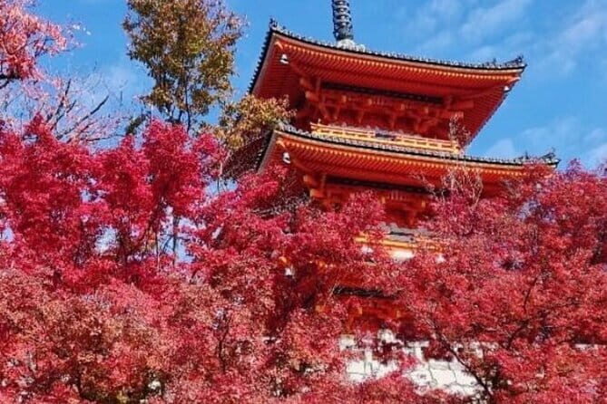 Kyoto tour 12 hours Private Nagoya pick up available - The pick-up strategy: less walking, fewer stress points