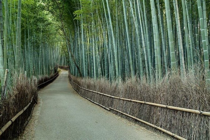 Kyoto Tour by Car from Kyoto Osaka Kobe - Stop 1: Tenryu-ji Temple and the garden focus (30 minutes)