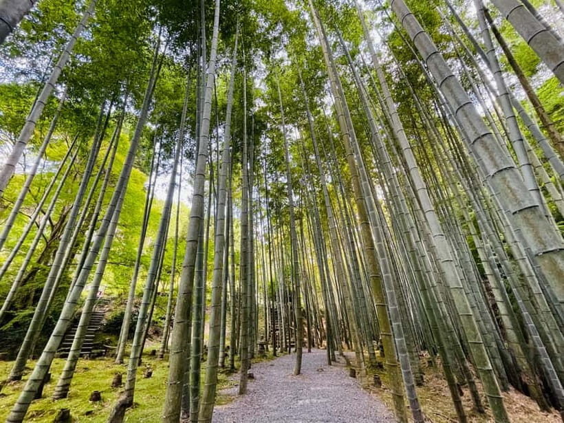 Kyoto : True Kyoto Avoid the crowds E-Bike Tour - Key highlights you’ll remember after the ride