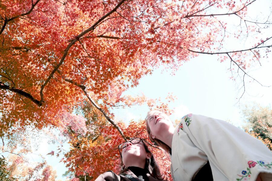 Kyoto: Try Nishijin Weaving in the Oldest Geisha District - Should you book this Nishijin weaving tour in Kamishichiken?