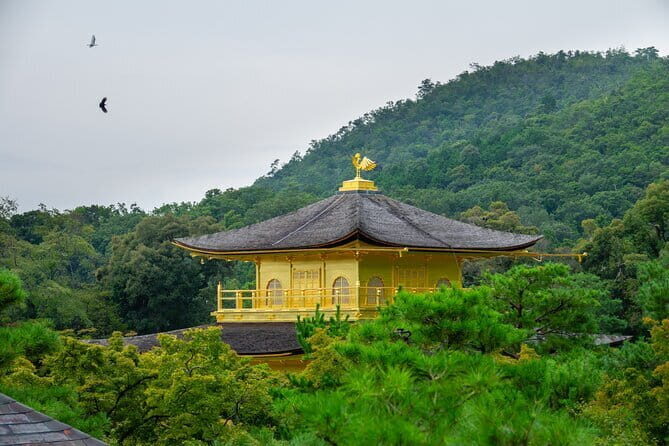 Kyoto & Uji: Full Day Sightseeing Tour from Osaka or Kyoto - Kinkaku-ji Golden Pavilion to Kiyomizu-dera: Two UNESCO Stops Without the Planning Headache