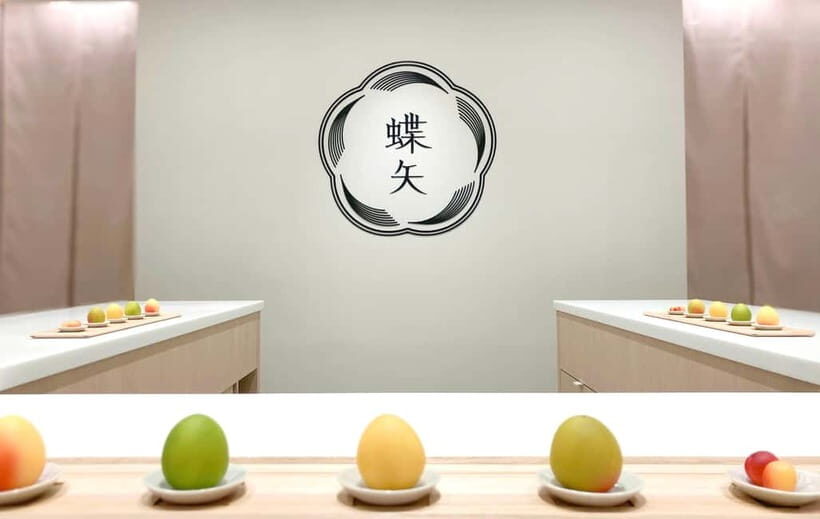 Kyoto Ume Liqueur Experience with CHOYA - Make Your Souvenir - What You’re Really Making: Umeshu vs Ume Syrup