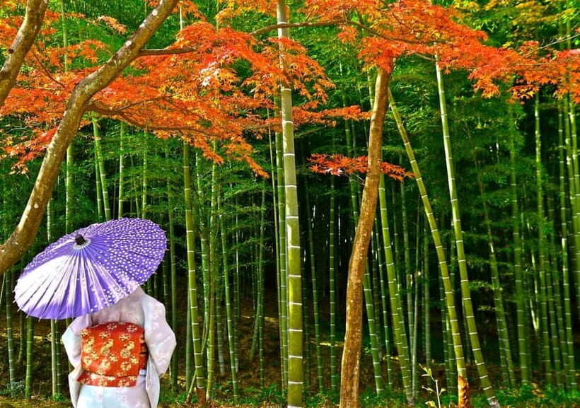 Kyoto UNESCO World Heritage Sites 1d Tour from Osaka/Kyoto - Kinkaku-ji and the Mirror Pond: Golden Pavilion First