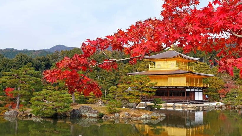 Kyoto UNESCO World Heritage Sites 1d Tour from Osaka/Kyoto - Kimono Forest, Tenryuji, and the Break That Keeps You Moving