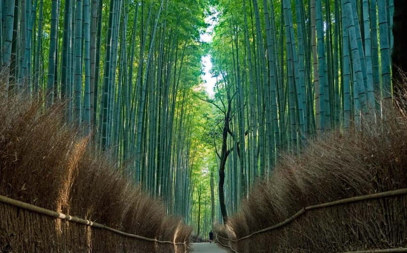 Kyoto UNESCO World Heritage Sites 1d Tour from Osaka/Kyoto - Kiyomizudera and the Nail-less Stage: Views, Pagoda, and Otowa Water