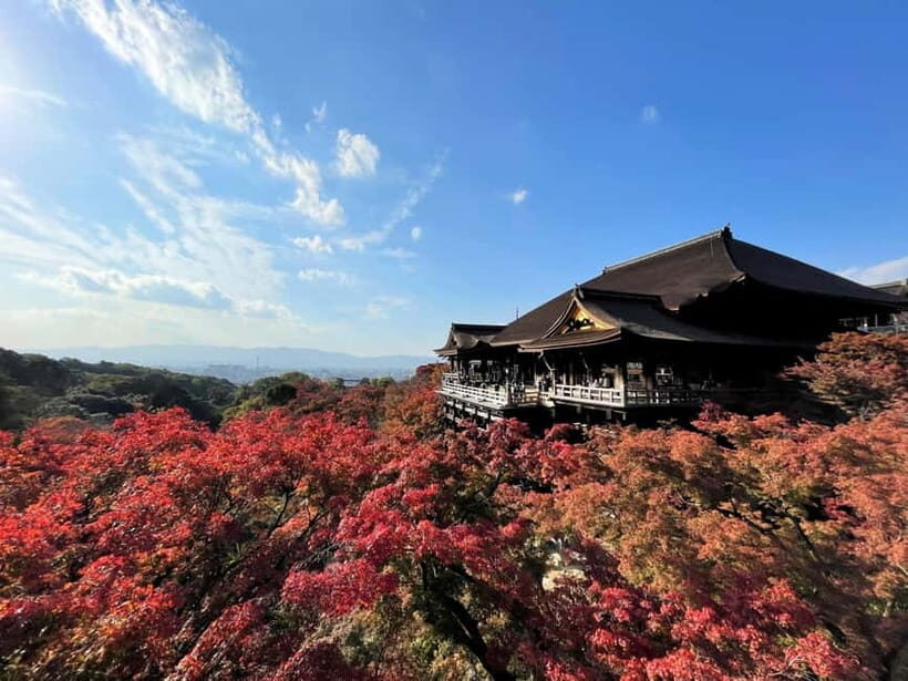 Kyoto UNESCO World Heritage Sites 1d Tour from Osaka/Kyoto - Arashiyama Bamboo Grove and Togetsukyo Bridge in One Flow