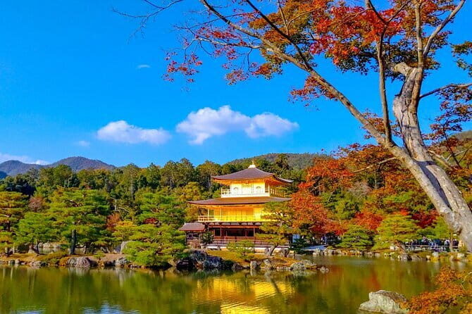 Kyoto Walking Tour Goshuin Collecting and Temples Discover - Shinzenkoji: Amida compassion, ancient maples, and a calmer walking pace