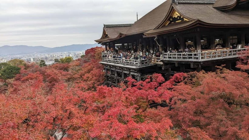 Kyoto: Walking tour Kiyomizu, Geisha District with a Local - Key highlights you’ll feel during the tour