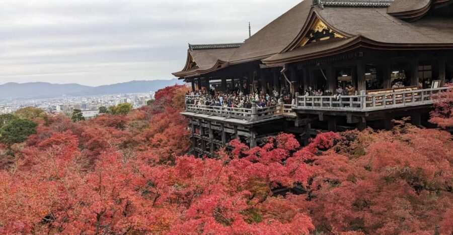 Kyoto: Walking tour Kiyomizu, Geisha District with a Local - Meeting at Shijo Bridge: the red-flag start matters