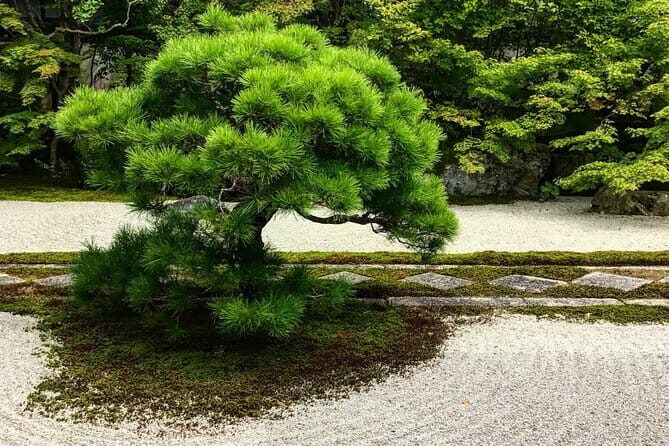 Kyoto&Nara Private Highlights Tour with English driver Pickup - Kinkaku-ji (Golden Pavilion): famous for a reason, plan for entry