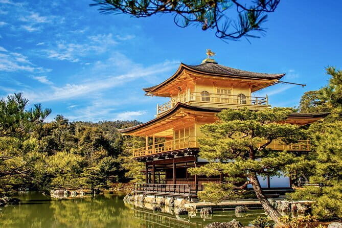Kyoto&Nara Private Highlights Tour with English driver Pickup - Fushimi Inari Taisha: the red torii corridor you can walk for days