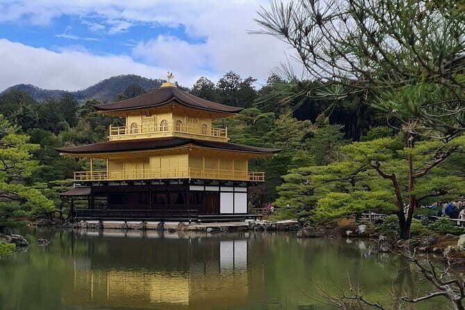 Kyoto&Nara&Osaka: One day private Customized Car tour - Key Points Worth Your Attention