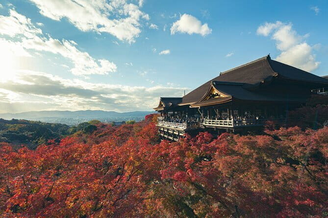 Kyoto&Nara&Osaka: One day private Customized Car tour - Price and Value: When $418.47 per Group Makes Sense