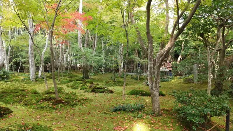 Kyoto:Quiet Arashiyama and Sagano Temples - Key things that make this tour work