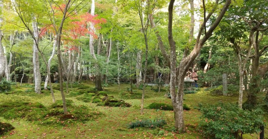 Kyoto:Quiet Arashiyama and Sagano Temples - Quiet Arashiyama and Sagano Temples: the vibe you’re buying