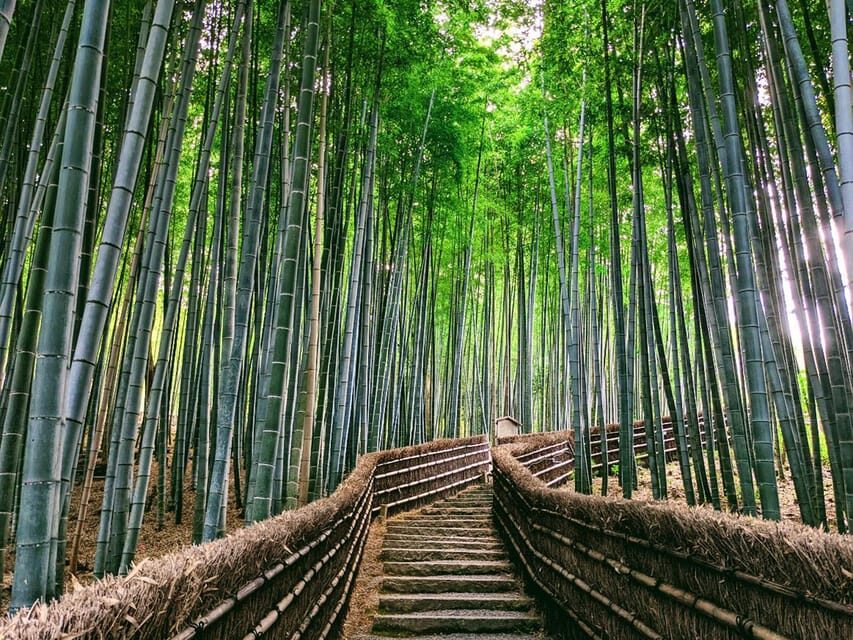 Kyoto:Quiet Arashiyama and Sagano Temples - Tenryuji Temple: the guided finish you’ll remember longer than the bamboo