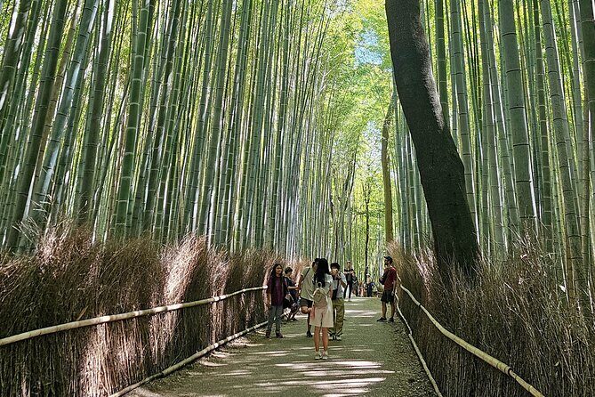 Kyoto's Arashiyama Bamboo Grove: 3-Hour Guided Tour - Key highlights you’ll feel fast