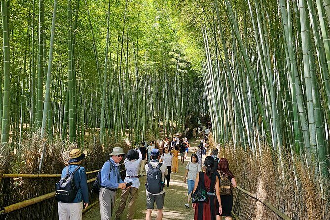 Kyoto's Arashiyama Bamboo Grove: 3-Hour Guided Tour - Price and value: $28 plus one extra gate fee