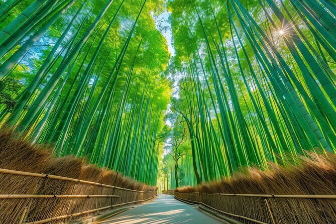 Kyoto’s ONLY COUNTRYSIDE E-Bike Tour with a Japanese Local! - Meeting up and getting on the bike without stress