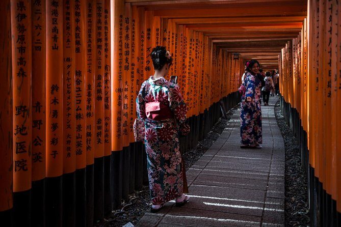 Kyoto's Top City Highlights: 2-Day Private Tour Experience - Monkey Park and the right kind of walking